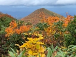 20201009212528957.jpg