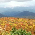 20201009212535682.jpg