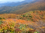 20201009212604564.jpg