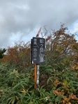 20201009213237784.jpg