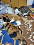 20201230134015838.jpg